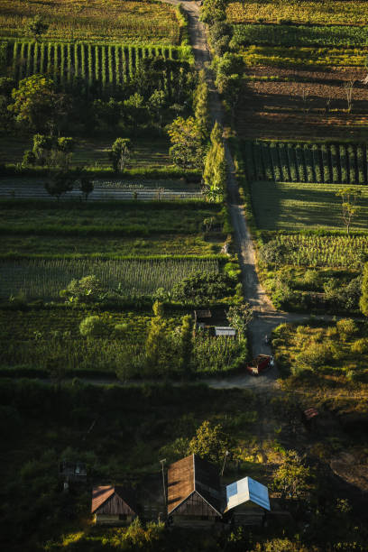 istock Rice paddies from above 1021220852