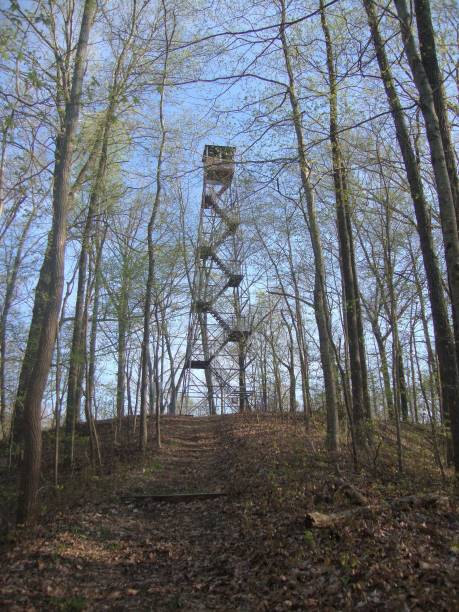 istock Abandoned Fire Lookout Tower in Distance 1021226456