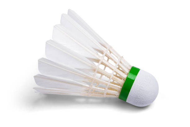 Photo libre de droit de Plume Blanche Volants Badminton banque d'images et  plus d'images libres de droit de Volant de badminton - Volant de badminton,  Activité, Arts Culture et Spectacles - iStock