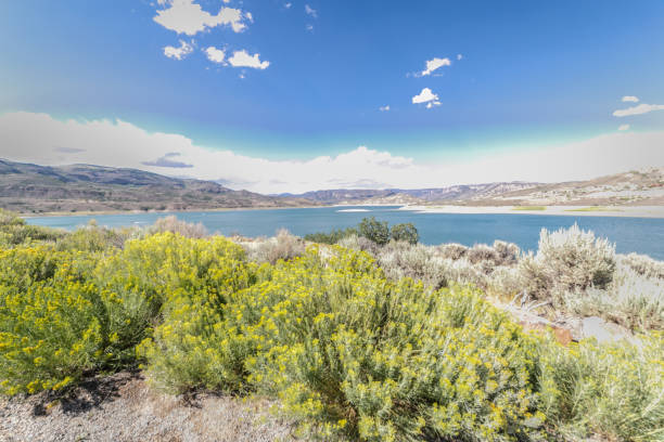 istock Blue Mesa Reservoire, Colorado 1021229226