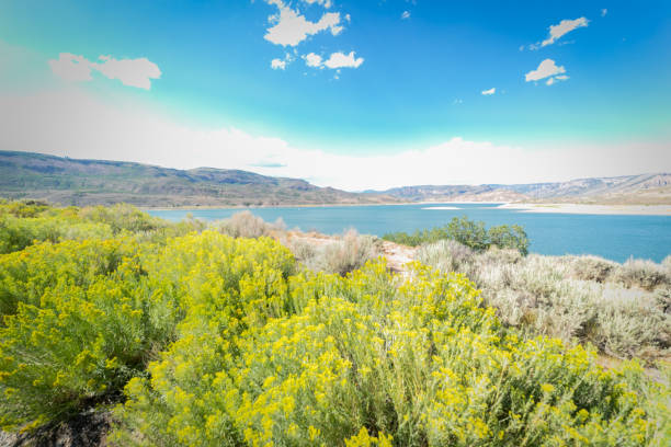 reserva de mesa azul, colorado - al hajjar fotografías e imágenes de stock