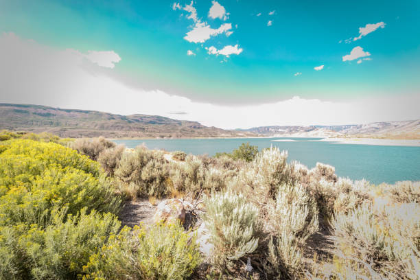 istock Blue Mesa Reservoire, Colorado 1021229252