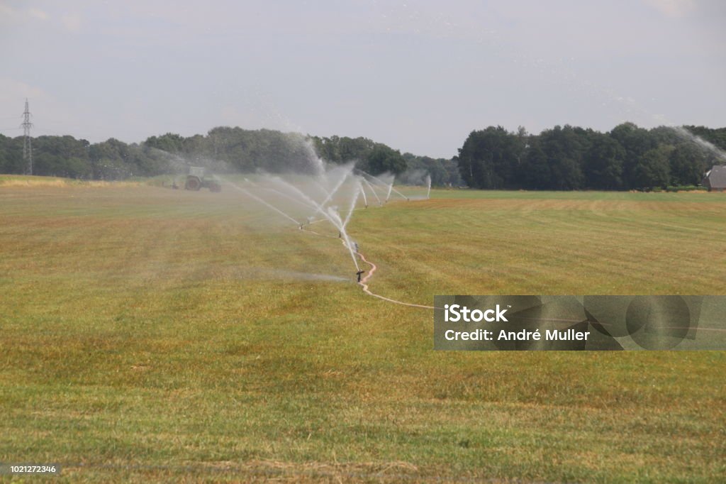 Boeren in Nederland zijn sproeien van water over de weilanden in de droge zomer van 2018 terwijl dit niet is toegestaan door de regering te sparen water - Royalty-free 2018 Stockfoto