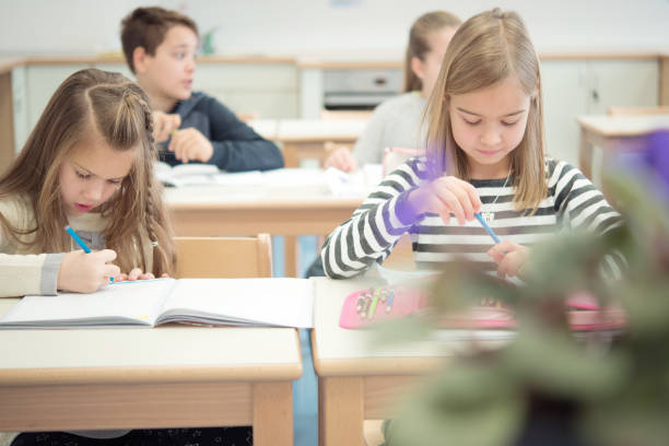 istock Schoolmates Sitting in the Classroom During Lessons 1021273202
