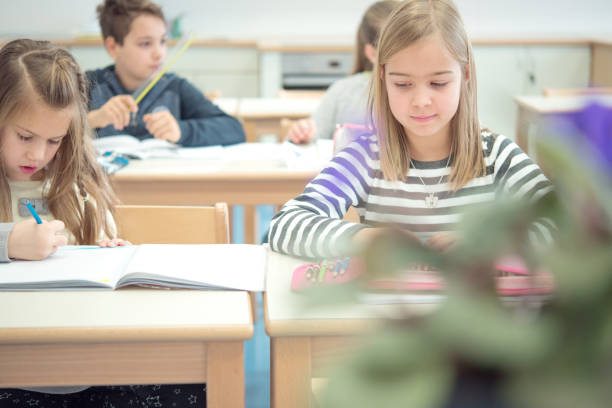 istock Schoolmates Sitting in the Classroom During Lessons 1021273206