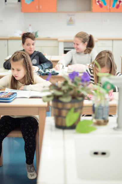 istock Schoolmates Sitting in the Classroom During Lessons 1021273852