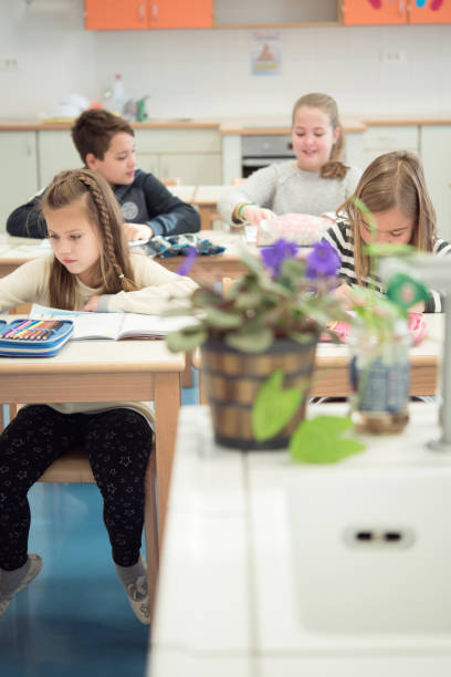 istock Schoolmates Sitting in the Classroom During Lessons 1021274950