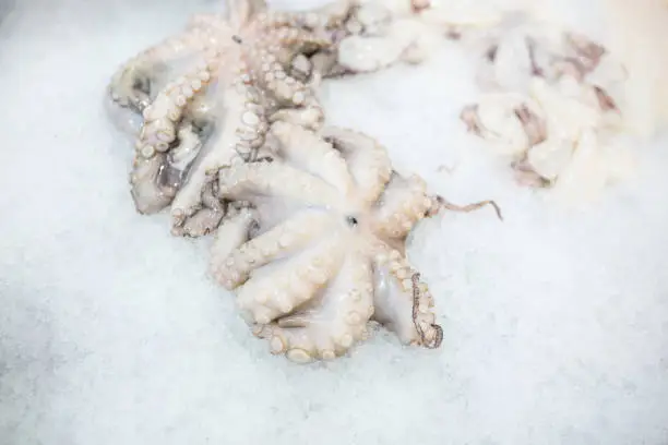 Close up food image of raw frozen octopus on ice on the market.