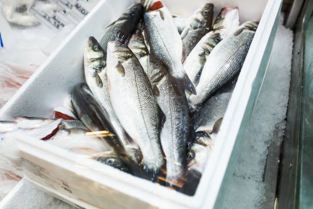 istock raw frozen sea bass fish 1021295970
