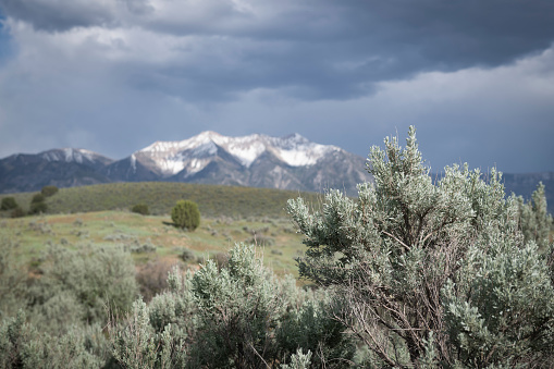 Beautiful scene of sage brush and snow-capped mountains. Focus on sage brush in foreground and out of focus Utah mountains in background. Storm clouds rolling in.