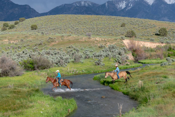 istock Horseback riders cross stream in beautiful Utah wilderness 1021306678