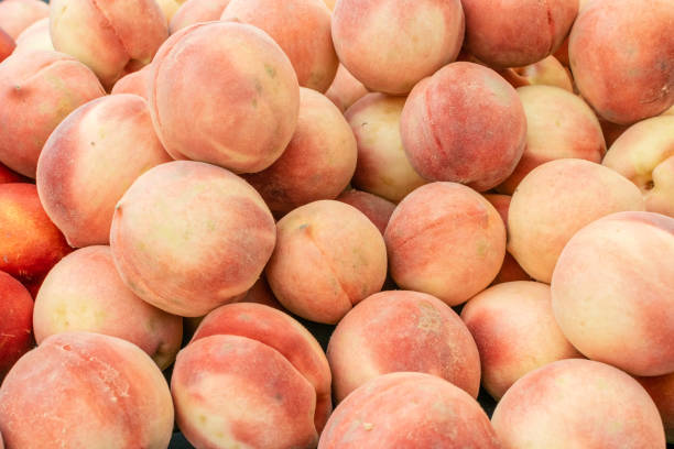 istock Pile of peaches from farm 1021307116
