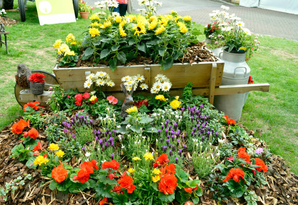 Spring flowers bloom on a road median strip.