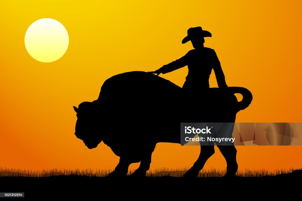 Rodeo rider silhouette vector sunset Sunset stock vector
