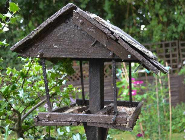 istock Old rickety birdhouse 1021312656