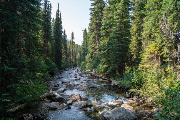 istock Lostine River in eastern Oregon's Eagle Cap Wilderness area 1021312760