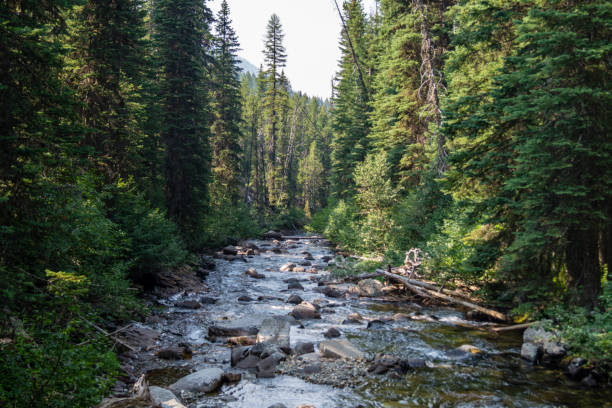 istock Lostine River in eastern Oregon's Eagle Cap Wilderness area 1021312782
