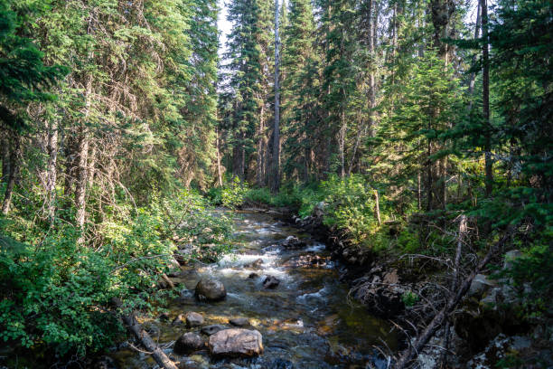 istock Lostine River in eastern Oregon's Eagle Cap Wilderness area 1021312808