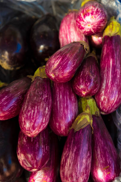 zuchinni e berinjela em um supermercado orgânico - zuchinni - fotografias e filmes do acervo