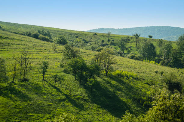 istock Mountains in Romania 1021318198
