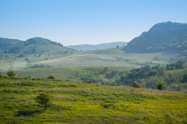 istock Mountains in Romania 1021320476