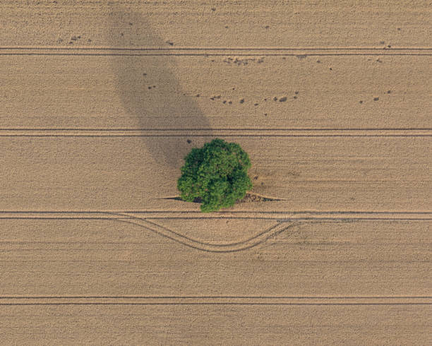 istock Vale of York from the Air, UK 1021336962