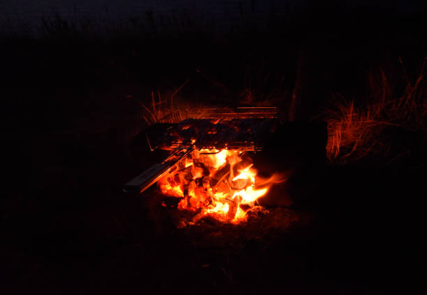 istock Hot chicken thighs on the fire at night on the beach 1021337334