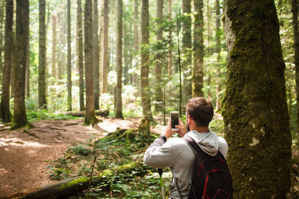 istock Hiking in mountain woodland 1021345290