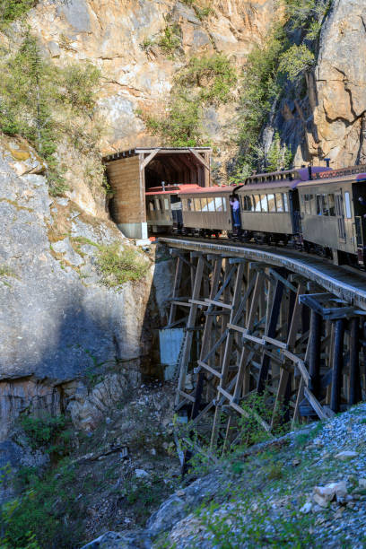 istock Tourist Railway Trip up the White Pass Mountains 1021347692