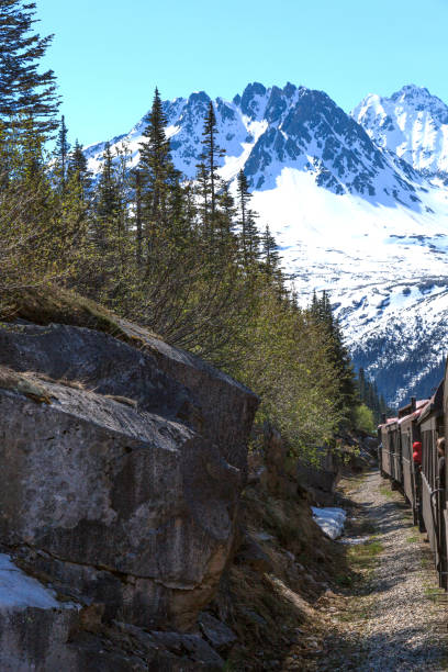 istock Views from the White Pass Mountain Tourist Train 1021347764