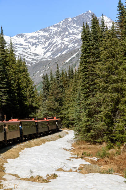 istock Views from the White Pass Mountain Tourist Train 1021347796