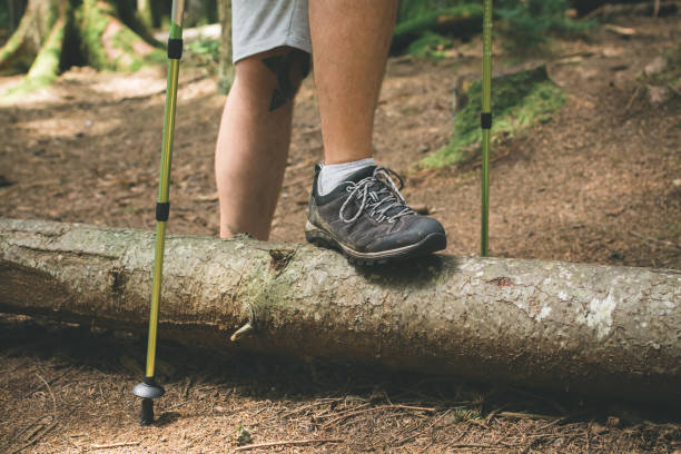 istock Hiking in woodlands 1021348840