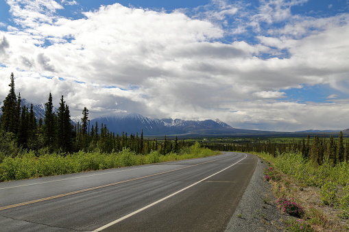 Traveling the northern part of Alaska Highway, between Haines Junction and Beaver Creek. Yukon Territory, Canada