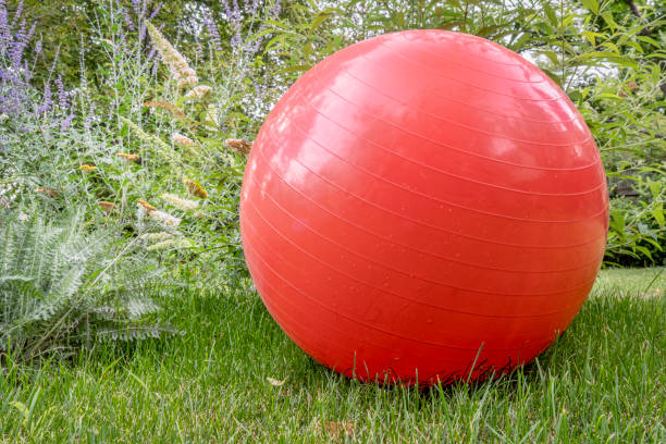 istock Swiss exercise ball outdoors 1021362694