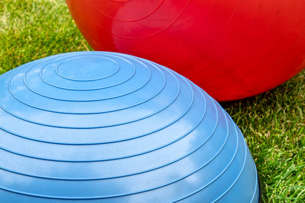 istock Balance training balls on green grass 1021362852