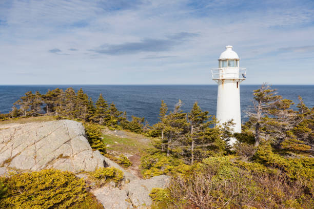 istock Bay Bulls Lighthouse, Newfoundland 1021375552