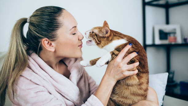 istock Woman with cat at home 1021389956