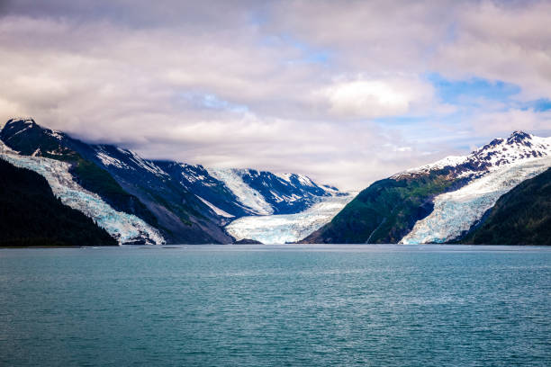 Barry, Cascade and Cox glaciers Barry, Cascade and Cox glaciers, Barry arm, Prince William sound chugach mountains photos stock pictures, royalty-free photos & images