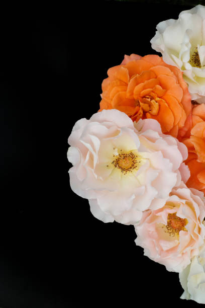 istock Bouquet of roses black background, flat lay 1021402642