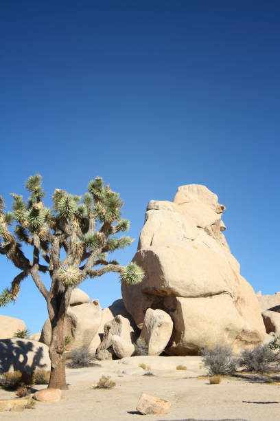 istock Rock formation in the desert 1021402902