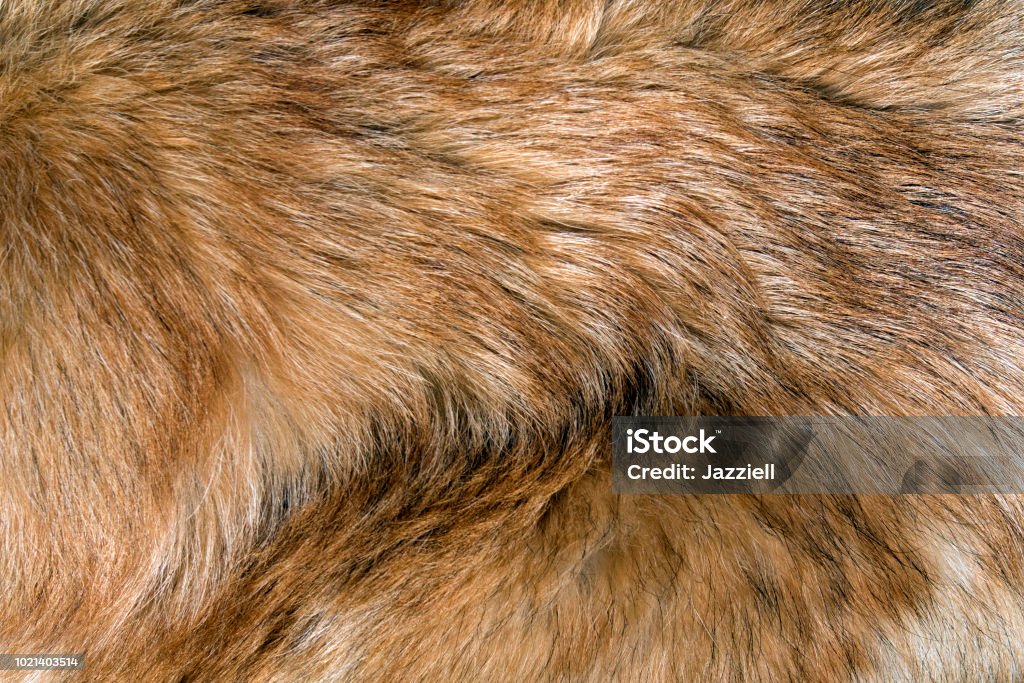 Ярко-красная собака пушистый мех крупным планом - Стоковые фото Абстрактный роялти-фри
