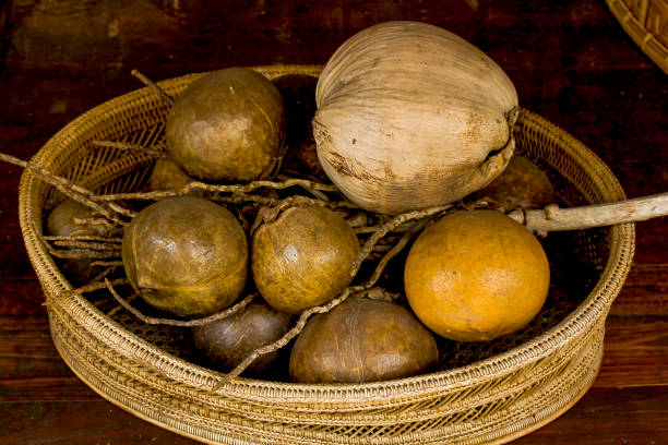 Dried coconut In the basket to decorate the room.