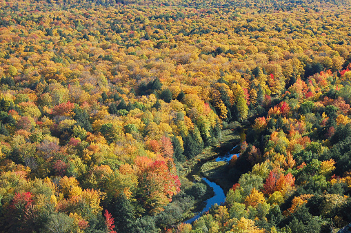 Aerial panorama of autumn river valley with colorful golden forest. Flying above vibrant trees near village in Ukraine