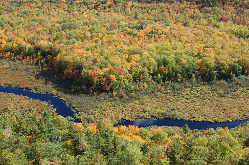 Fall colors in the Porcupine Mountains in Michigan's Upper Peninsula.