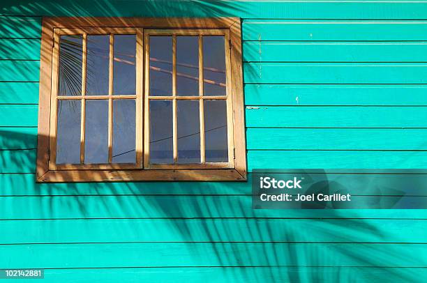 Palm Frond Shadow On House Exterior Stock Photo - Download Image Now - Palm Leaf, Focus on Shadow, Shadow