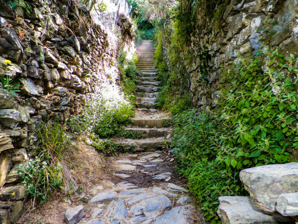 Trail head stairway with rockwall