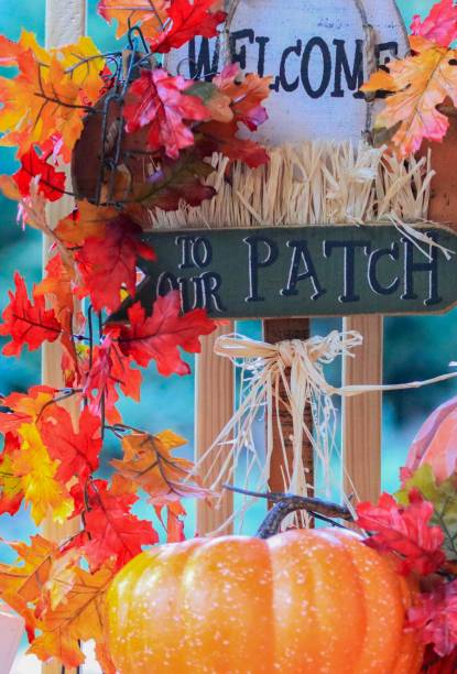 istock Welcome to our Patch garden decor 1021471034