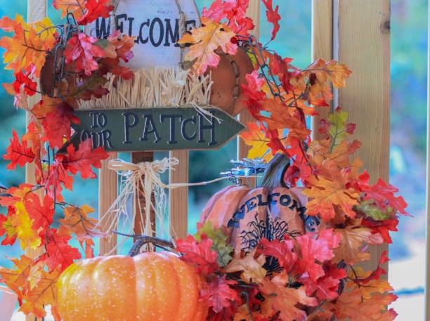 istock Welcome to our Patch garden decor 1021471056