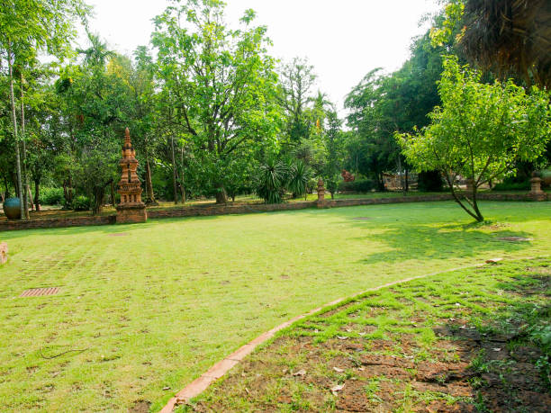 istock Green grass and tree in a beautiful park and buildings 1021483306