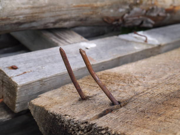 two rusty curved nails - weatherd imagens e fotografias de stock